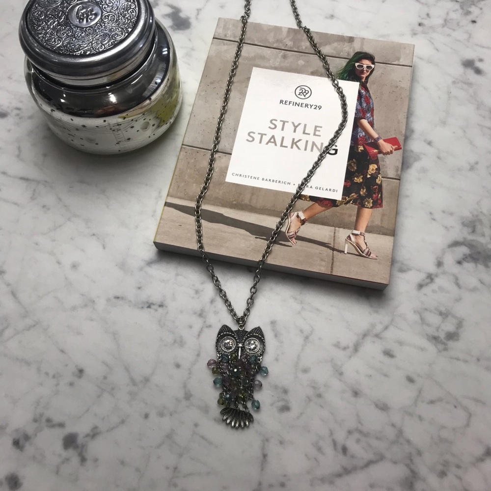 Silver Owl Gemstone Long Chain Statement Necklace